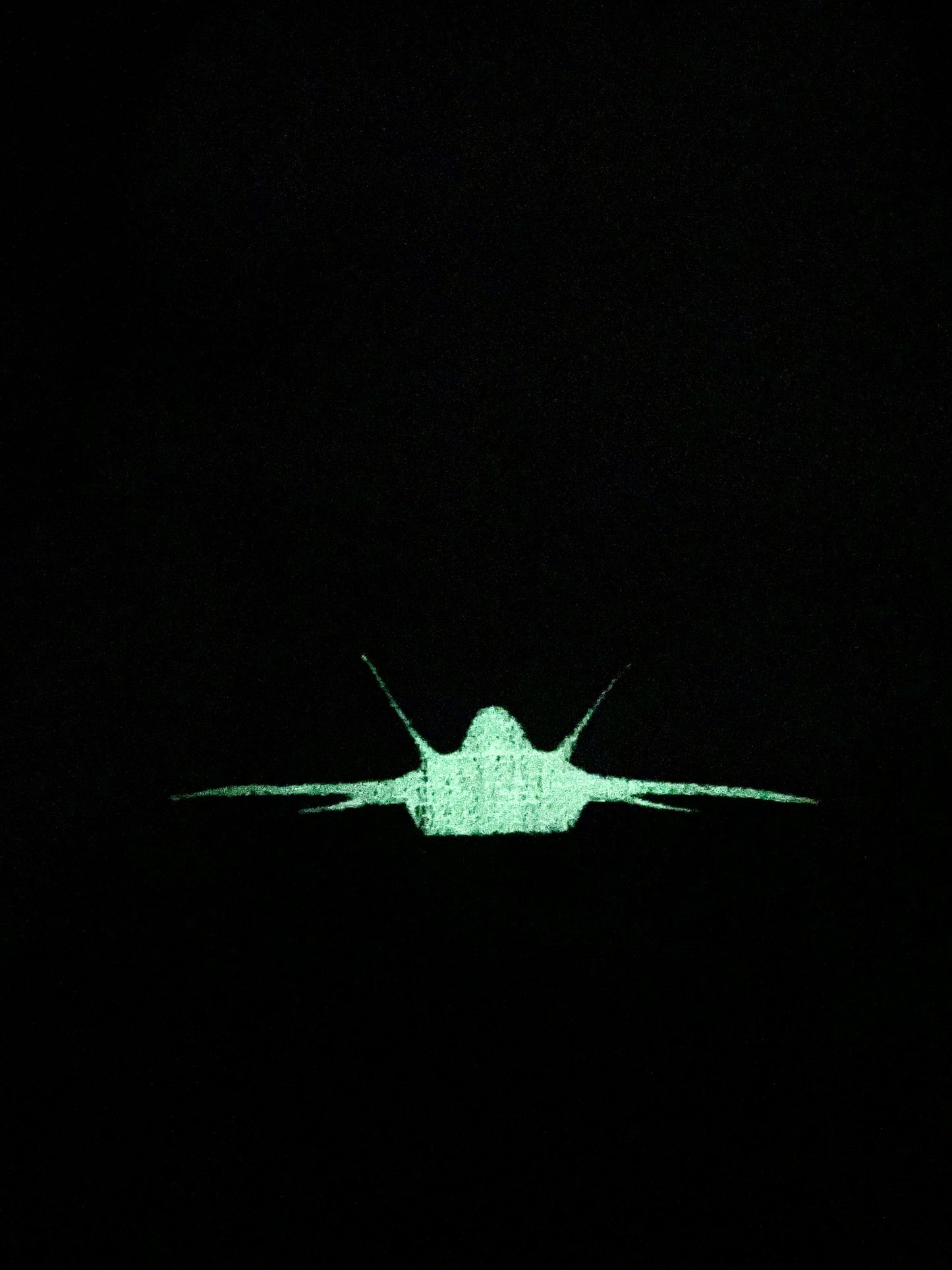 The Glowy Fleece Lined F-22